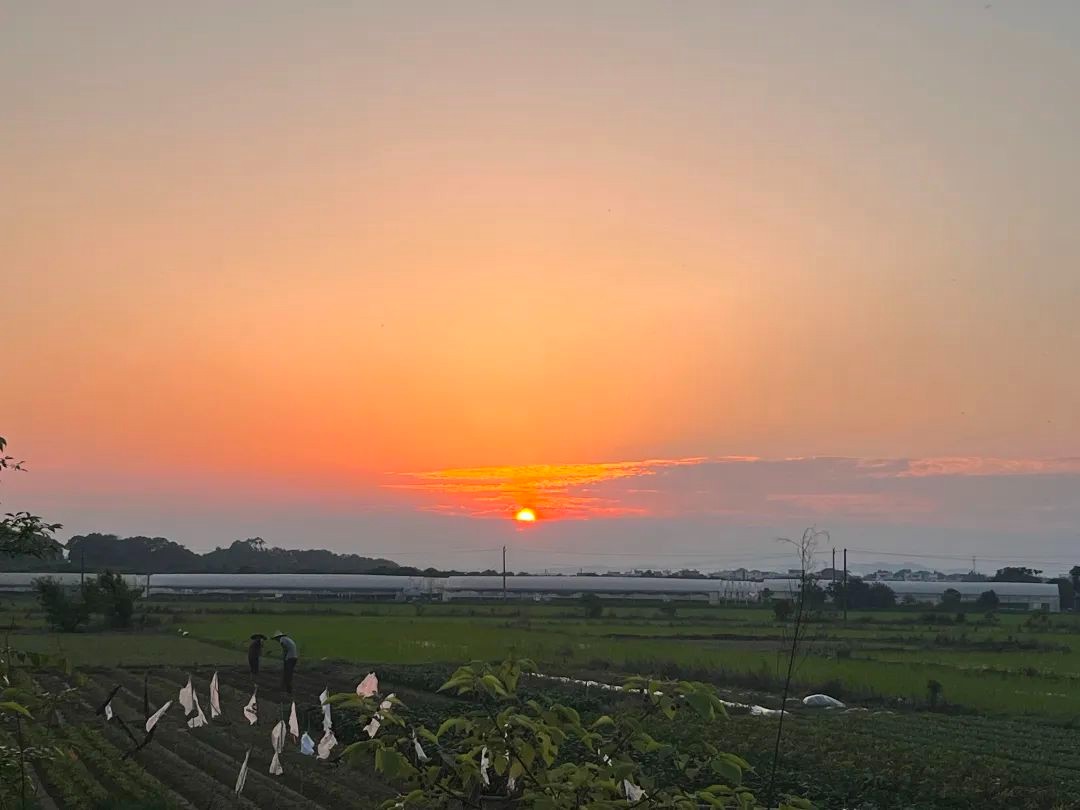 校园风光13